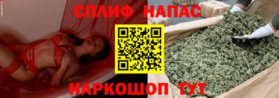 соль ск Бердск