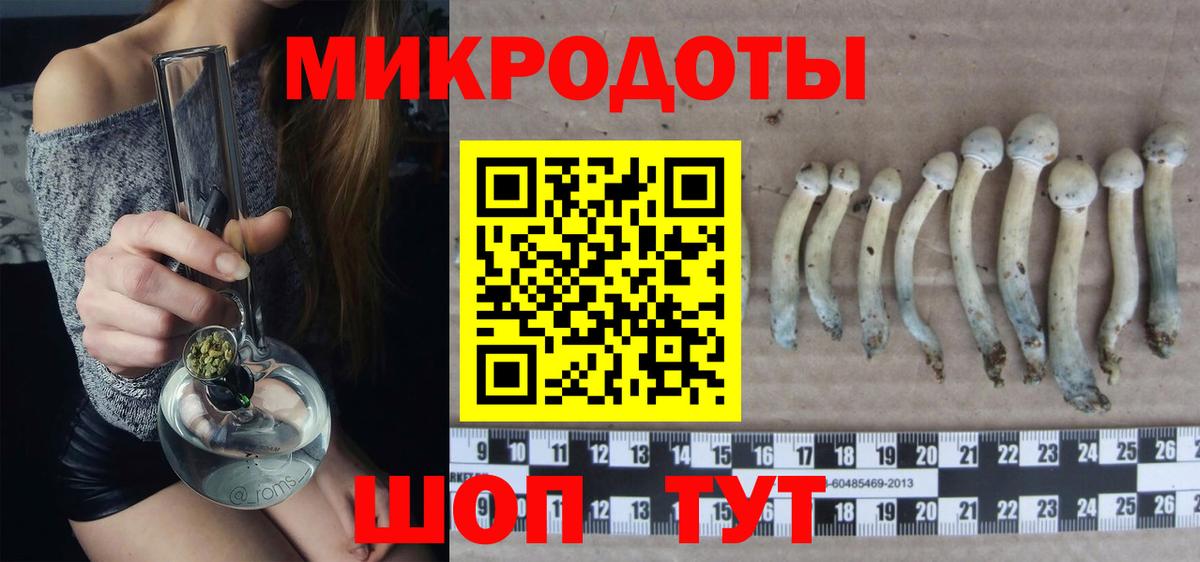 Псилоцибиновые грибы Cubensis Ангарск